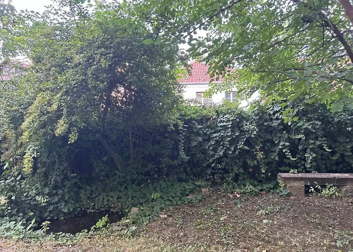 Hilltop Garden *